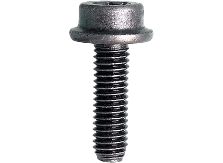 Body Screw