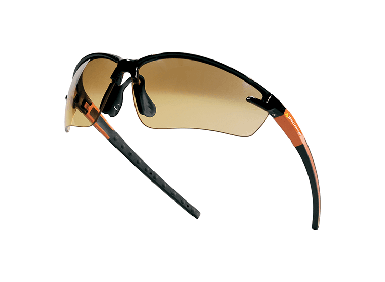 DELTAPLUS Twin Lens Safety Glasses