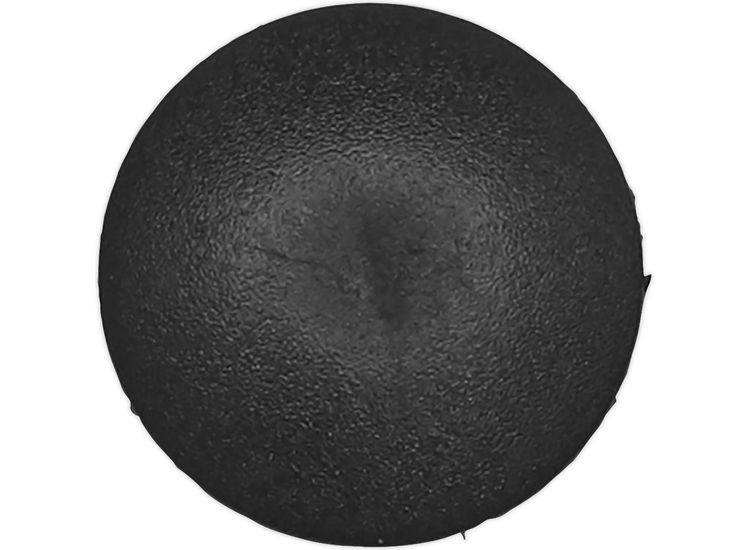 Sealey TCFT1830 Fir Tree Clip, &amp;#8709;18mm x 30mm, BMW, Chrysler, Ford, GM - Pack of 20