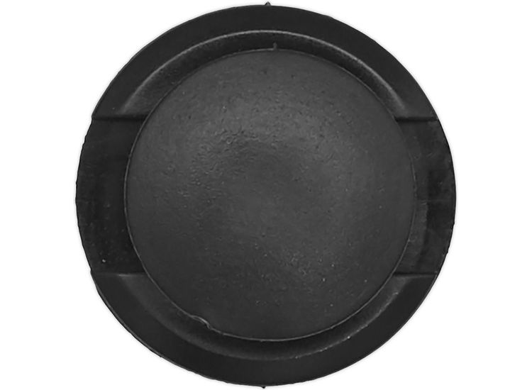 Sealey TCPR2020VW Push Rivet, &amp;#8709;20mm x 20mm, Audi, Seat, VW - Pack of 20