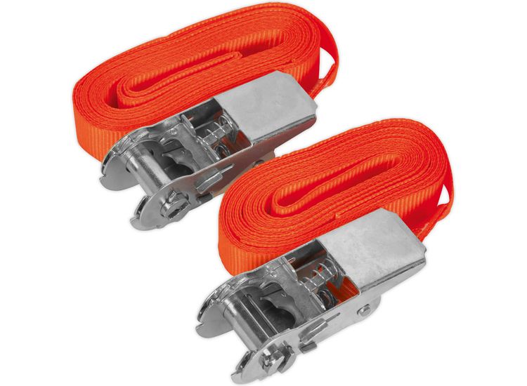 Sealey TD05045E Self-Securing Ratchet Tie Down 25mm x 4.5m 500kg Load Test - Pair