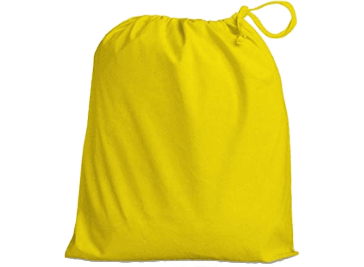 EV Face Shield Protective Bag
